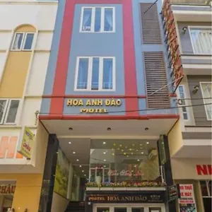 Hoa Anh Dao Vietnam